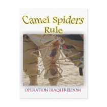 Spiders postcards by Ghosttown_Gifts Spiders postcards