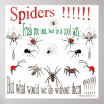 spiders posters