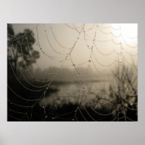 Spider's rning print