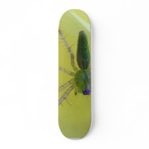 Spiders skateboards