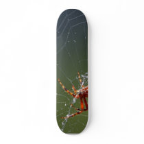 Spiders Spiderwebs Skateboard
