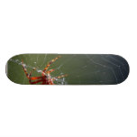 Spiders Spiderwebs Skateboard