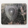 Spider's web mousemat
