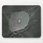 Spider's web mousemat
