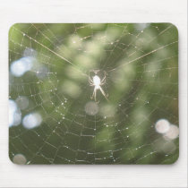 Spider's Web Mousepad