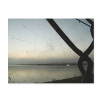 Spider's Web | postcards by celtxian Spider's Web | postcards