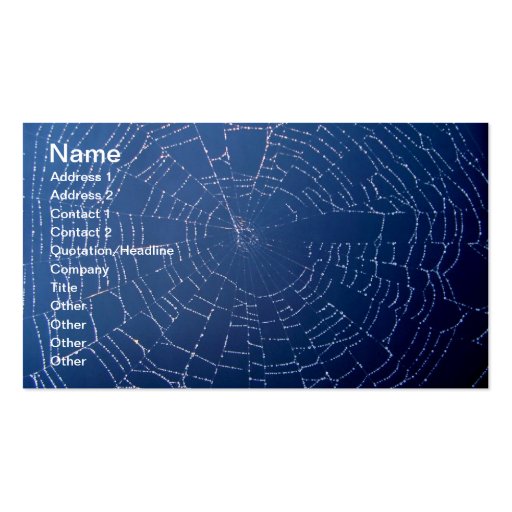 Spiderweb Business Cards