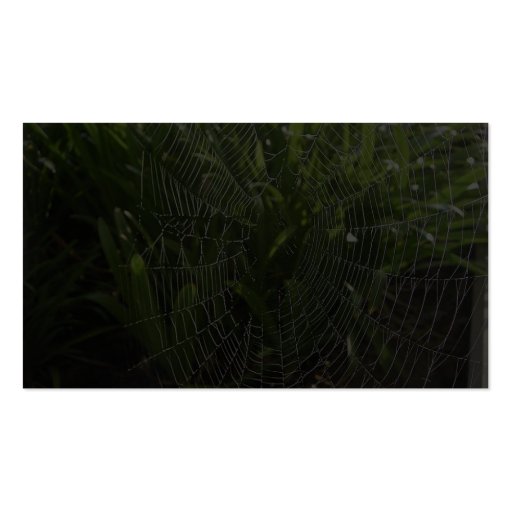 Spiderweb Covered With Dew In The Morning Business Card (back side)