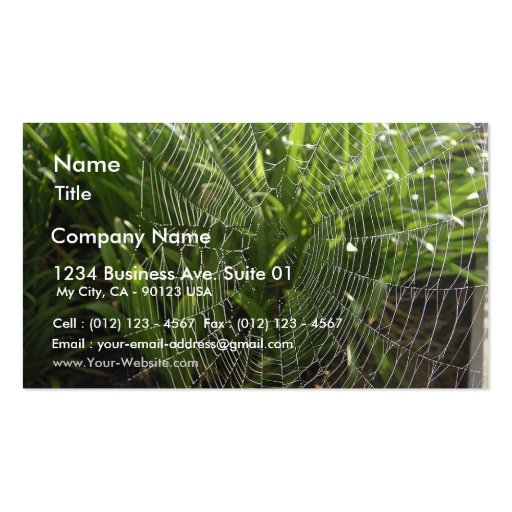 Spiderweb Covered With Dew In The Morning Business Card (front side)