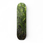 Spiderweb Covered With Dew In The Morning Skate Board Deck