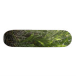 Spiderweb Covered With Dew In The Morning Skate Board Deck