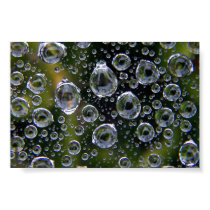 Spiderweb Droplets posters by Bugmaster Spiderweb Droplets posters