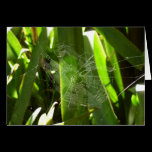 Spiderweb in Tropical Leaves Blank Card