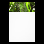 Spiderweb in Tropical Leaves Stationery