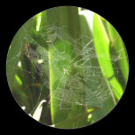 Spiderweb in Tropical Leaves Sticker