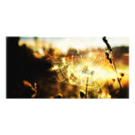 Spiderweb Custom Photo Card