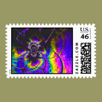 Spiderweb postage