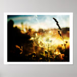 Spiderweb Poster