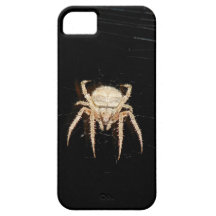 Spidey iPhone 5 Cover