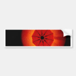 Spidy Bumper Stickers