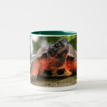Spike 01 mugs by turtletails Spike 01 mugs