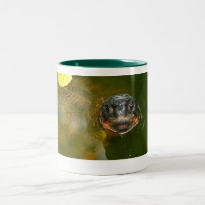 Spike 02 Mug by turtletails