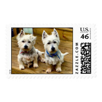Spike and Polar. postage by interstellaryeller Spike and Polar. postage