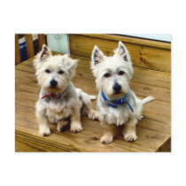 Spike and Polar Postcard. by interstellaryeller Spike and Polar Postcard.