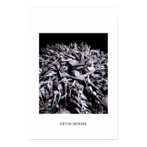 spike field 1 posters