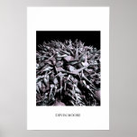 spike field 1 print