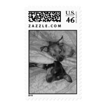 Spike N Dexter Sleeping Stamp
