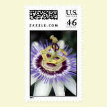 Spike postage