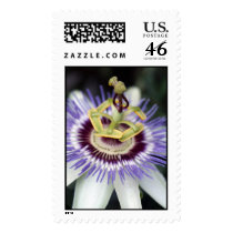 Spike postage by designcreatology Spike postage
