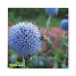 Spiked Blooms 2 Magnet