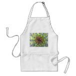 Spikes, Thorns and Needles Plant, Close Up (2) aprons