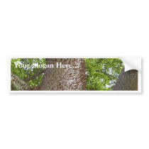 Spikes Trees Leaves bumper stickers