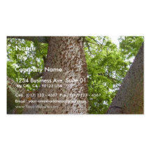 Spikes Trees Leaves Business Card
