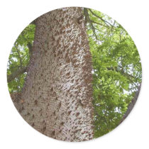 Spikes Trees Leaves stickers by lifesphere Spikes Trees Leaves stickers