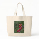 Spikey succulent bags