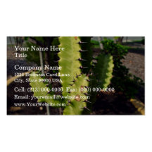 Spiky cactus under the shadow business card template