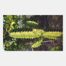 Spiky cactus under the shadow rectangular stickers
