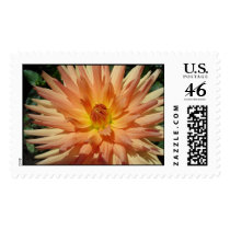 Spiky floral postage by ELF1020 Spiky floral postage