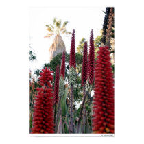 spiky posters by culfinglin spiky posters