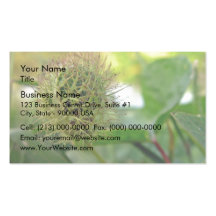 Spiky  Round green prisoner Business Card