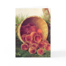  - Lovely vintage fruit and vegetables, some as still life art, with a wide assortment on cards and invitations.: Sizes 