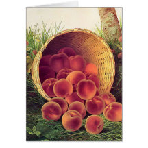 Spilled Peaches Card