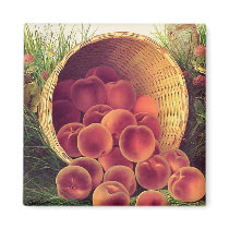 Spilled Peaches magnets