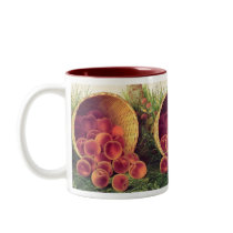Spilled Peaches mugs