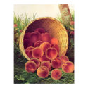 Spilled Peaches posters by Memory_Lane Spilled Peaches posters