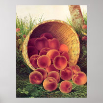 Spilled Peaches Print